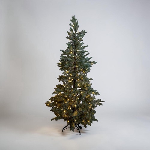 6ft elegance pre - 6ft,