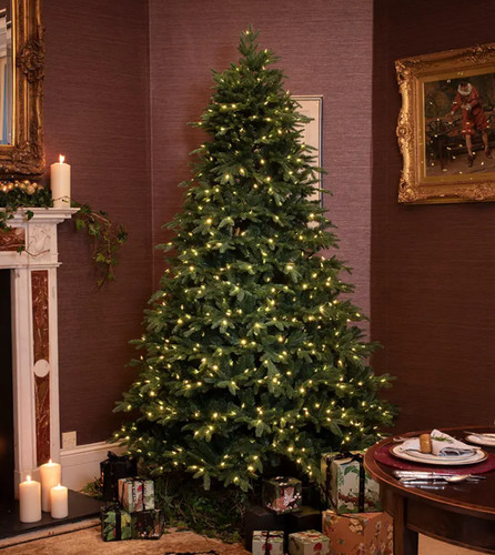 Christmas tree pre - christmas,