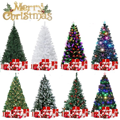 Christmas tree bushy with - tree,