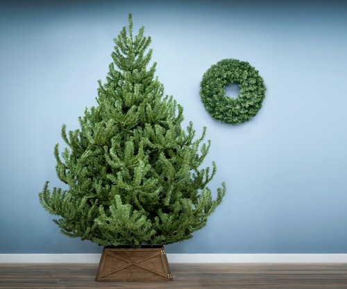 Christmas tree world - |, the