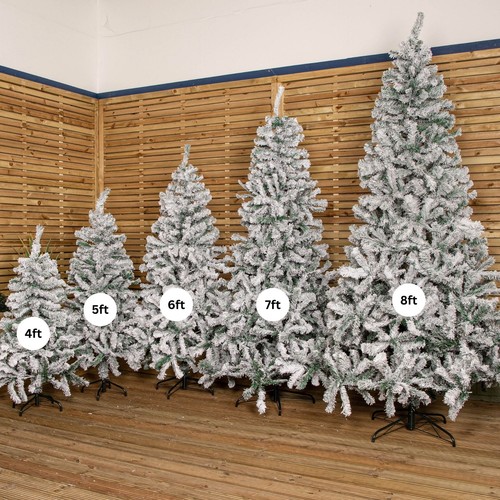 Choice size snow flocked - of,