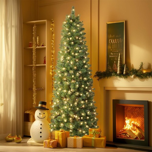 7ft spruce pencil - 7ft,